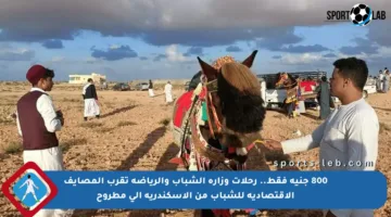 800 جنيه فقط.. رحلات وزارة الشباب والرياضة تقرب المصايف الاقتصادية للشباب من الإسكندرية إلى مطروح
